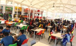 Higher wing study tour